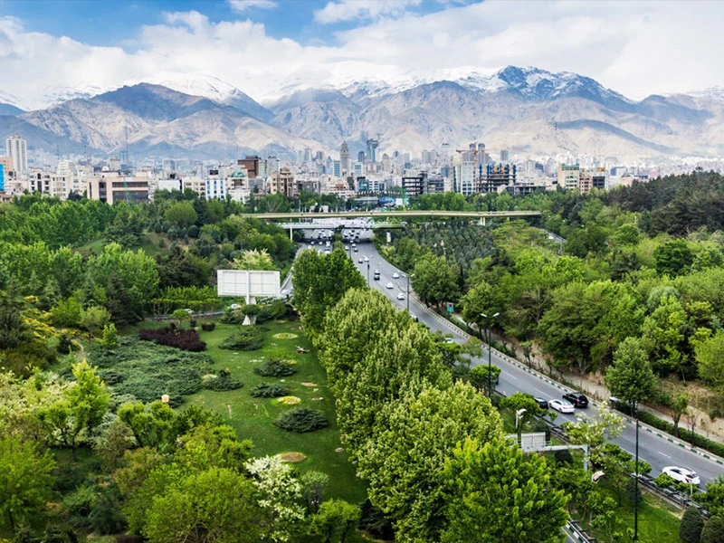 طراحی سایت شرکتی چند زبانه در کرج