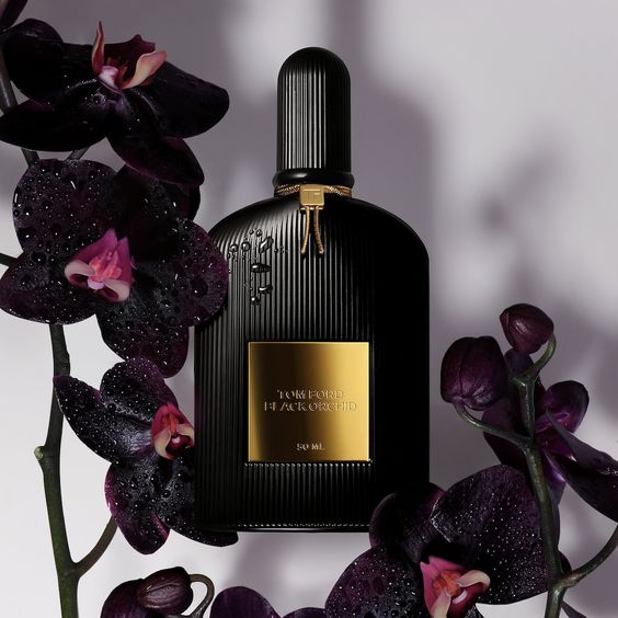 بهترین قیمت ادکلن تام فورد بلک ارکید | Tom Ford Black Orchid